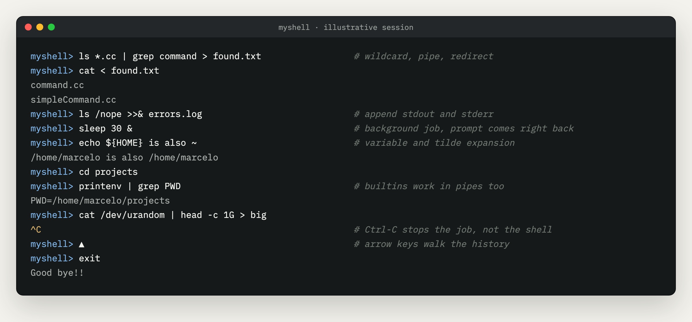 A terminal session in the shell showing wildcards, pipes, redirection, background jobs, expansions, Ctrl-C handling and history